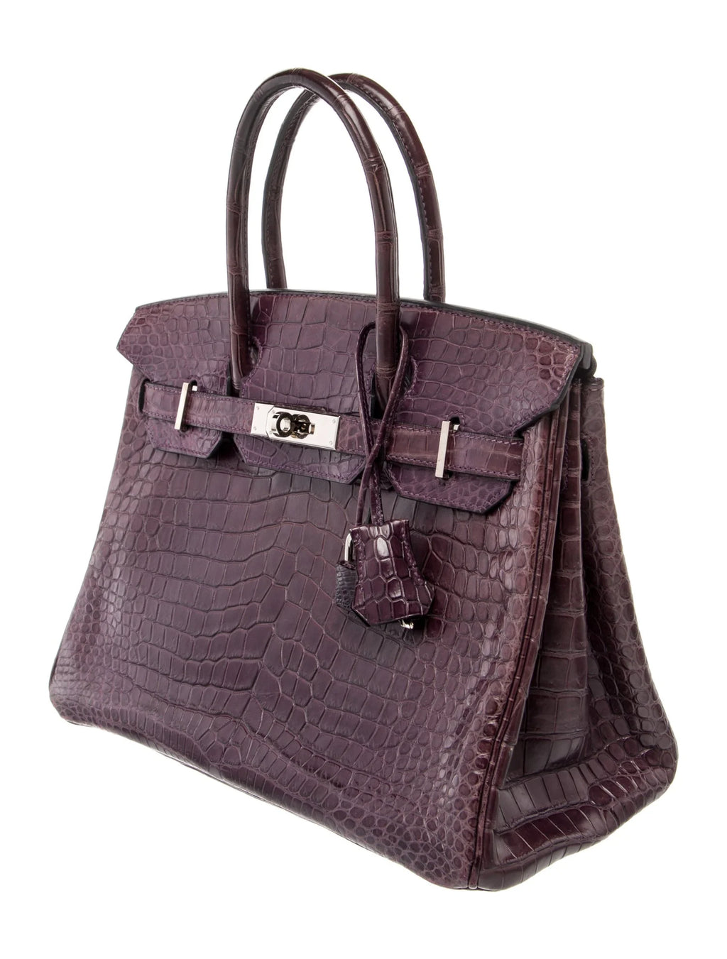 HÉR Birkin Crocodile-Embossed Handbag